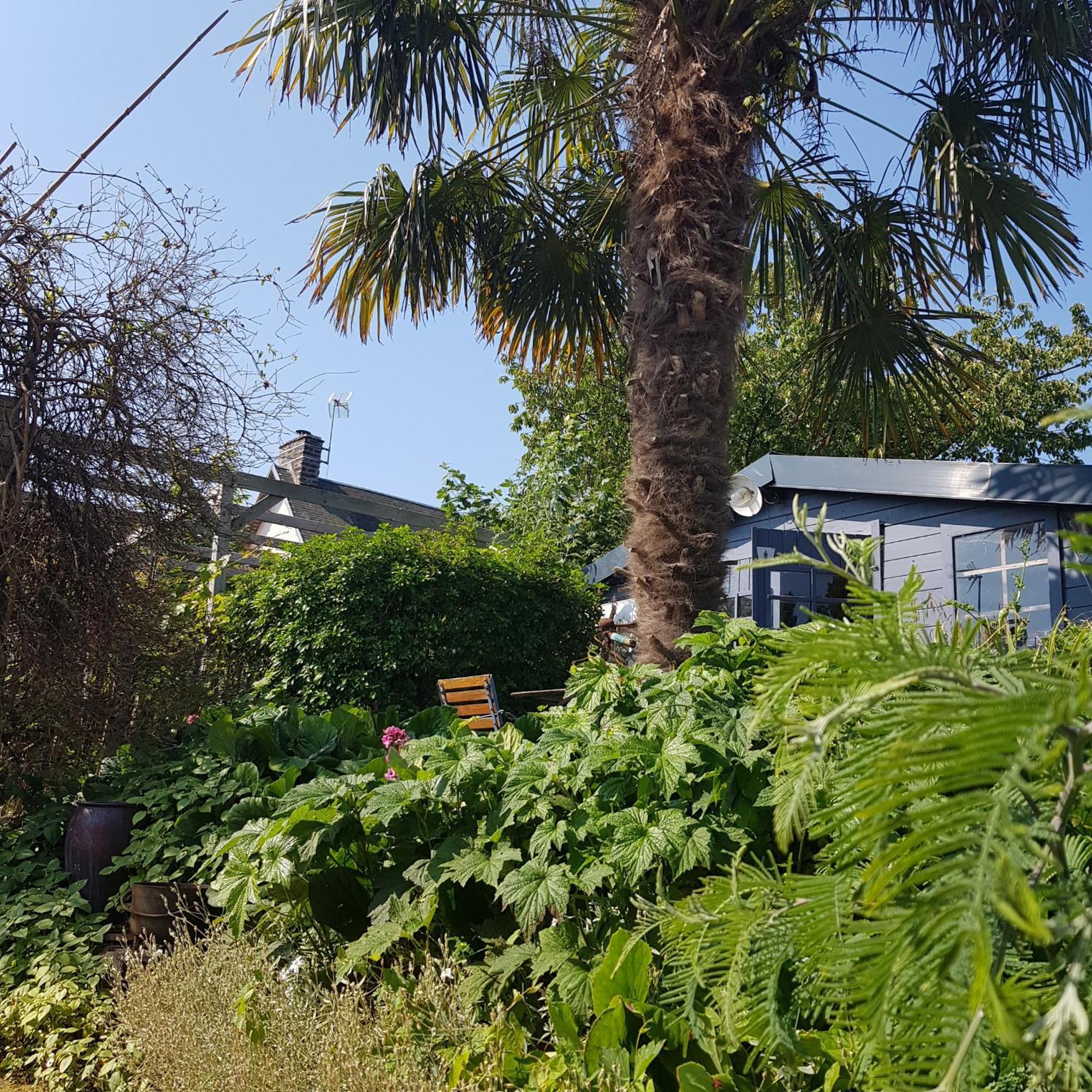 Le Jardin Bed & Breakfast Coudeville Eksteriør bilde