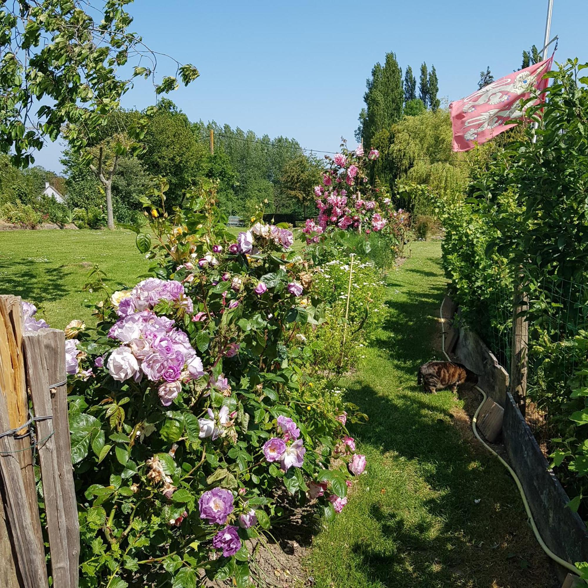 Le Jardin Bed & Breakfast Coudeville Eksteriør bilde